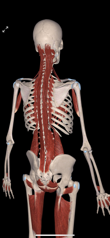 你的骨头缝里冒寒气吗