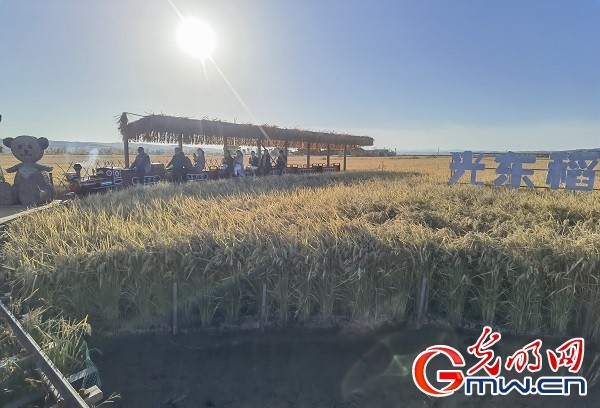 农业 旅游 双丰收 扮美扮靓延边光东村 乡村旅游 水稻 金君 光东村 延边
