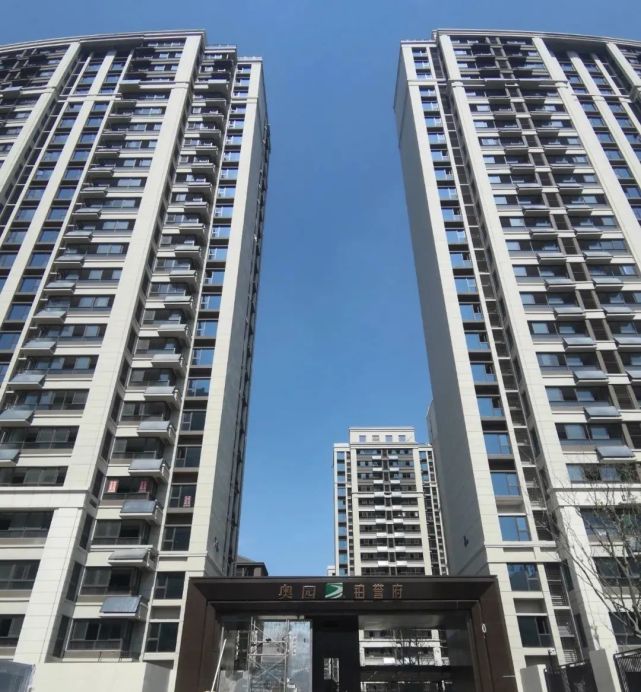 巢湖一新小区"奥园.铂誉府"业主提出14条整改意见!