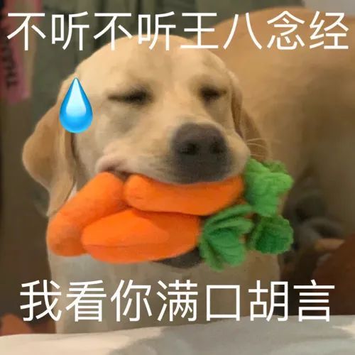 快理我啊!|表情包|抖音