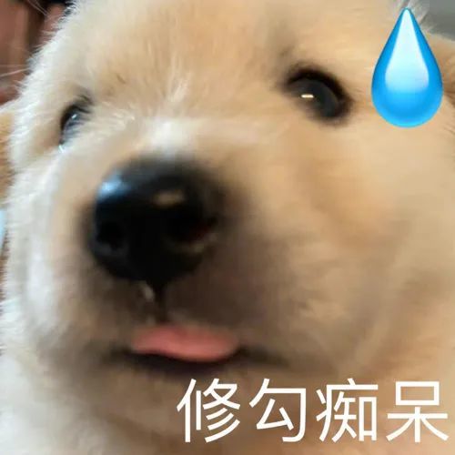快理我啊!|表情包|抖音