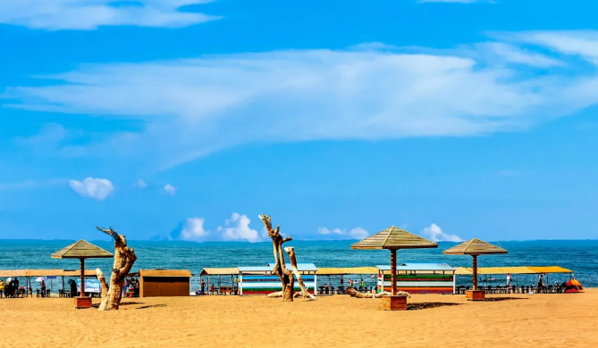近日,新疆巴音郭楞蒙古自治州和硕县金沙滩旅游景区迎来大批红嘴鸥