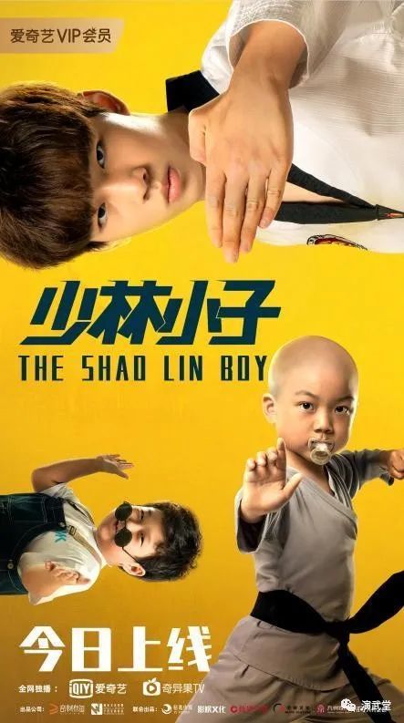 电影少林小子爱奇艺上线