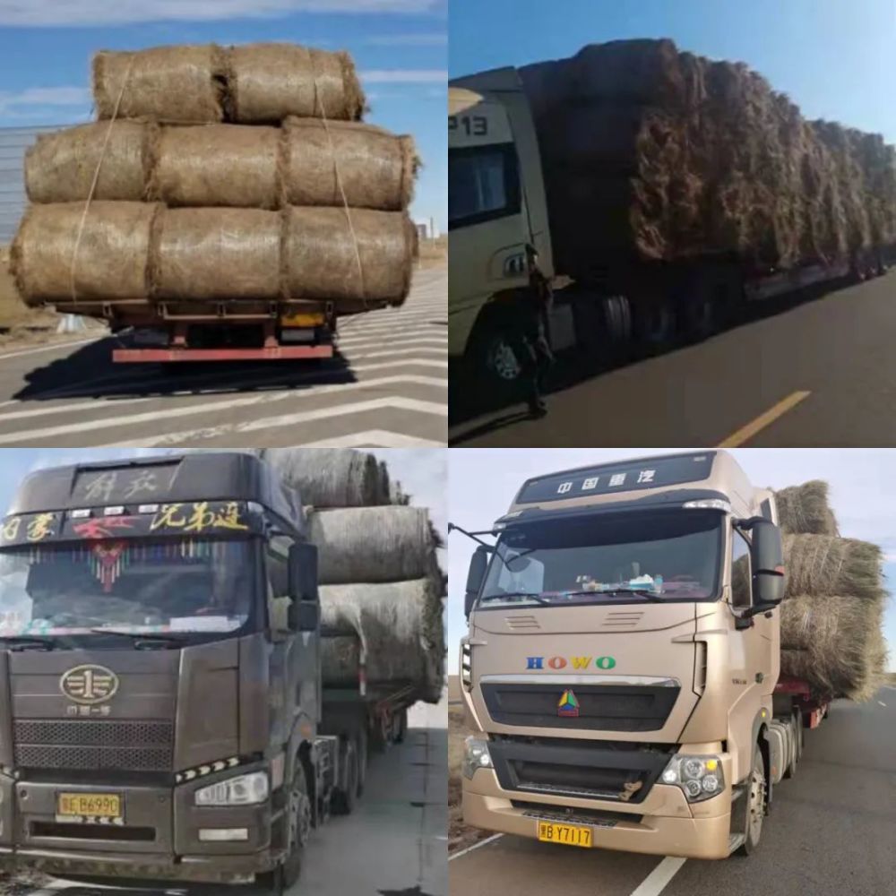呼伦贝尔铁拳出击整治巨无霸拉草车