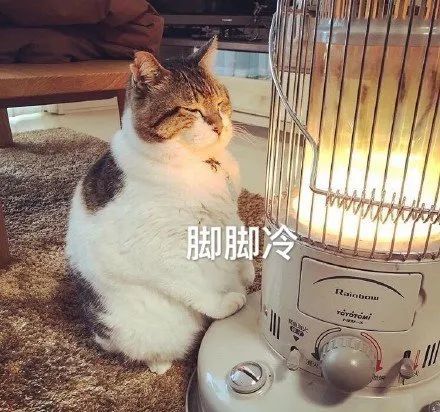 提醒丨未来三天广元多阵雨老寒腿是冻出来的吗答案来了