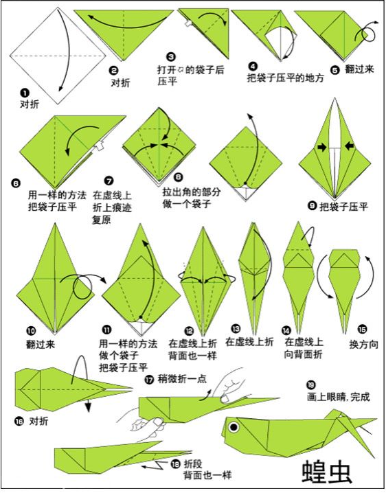 手工折纸27:手工蝗虫图解,手把手教你,轻松学会_腾讯新闻