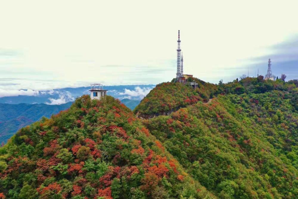 供图文碧峰景区已经成为了商南全域旅游打卡地之一 商南县融媒体中心