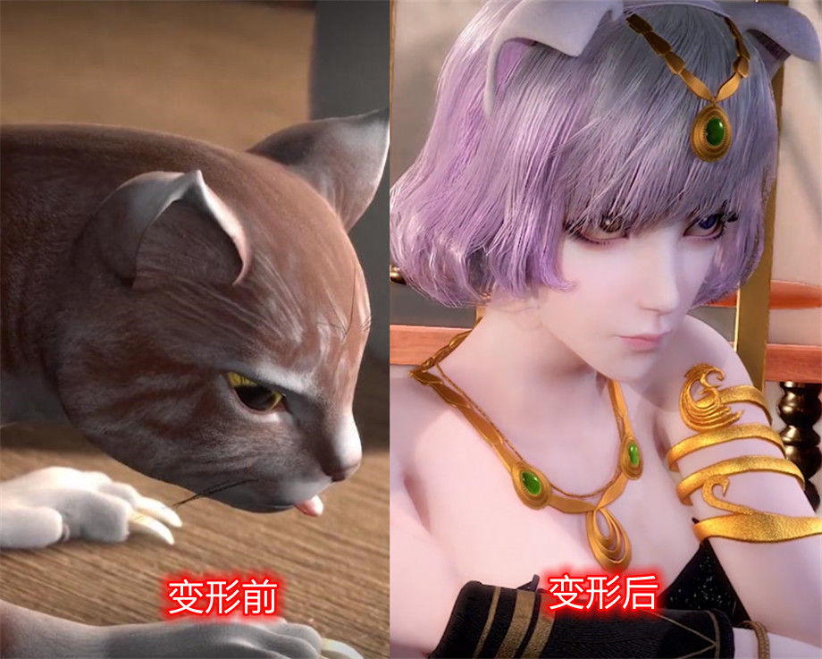 斗罗大陆魂兽化免费观看2021枪版中字完结哪个网站可以看免费完整版
