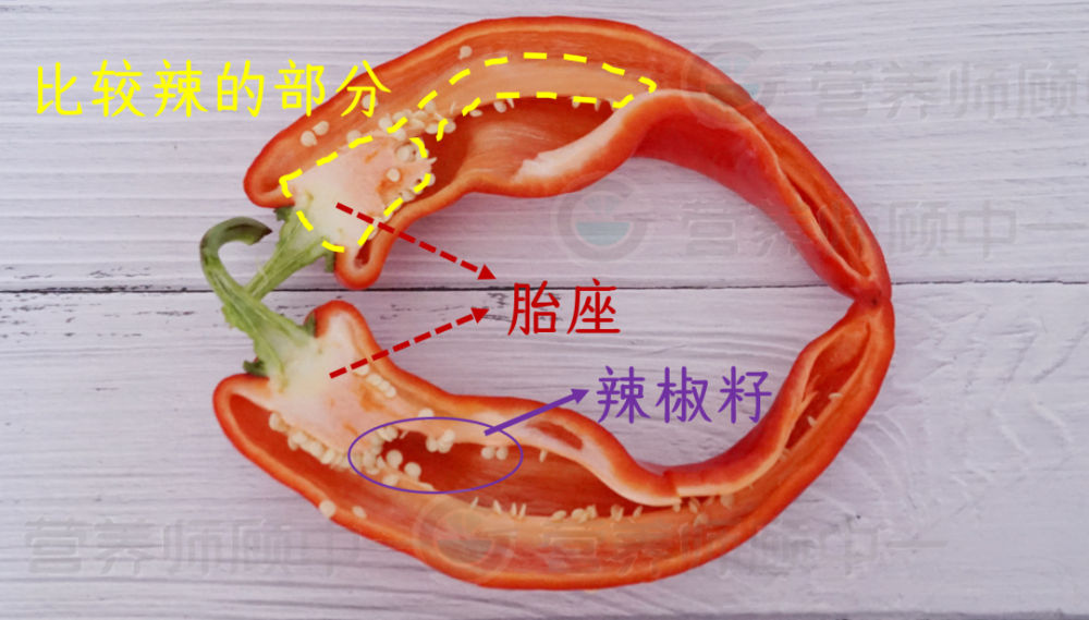 辣椒结构图图片