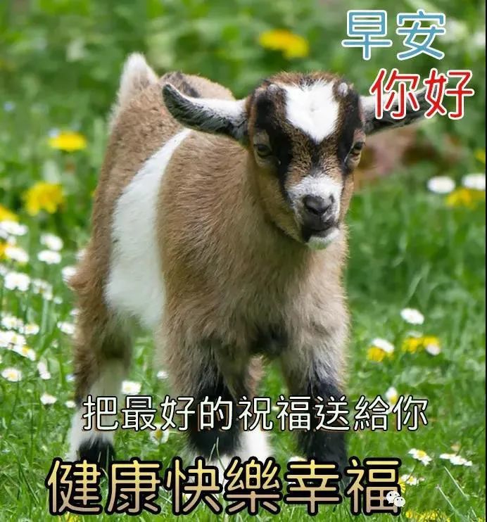 9张最新创意唯美的秋日早安早上好图片带祝福语 不用打字聊天的秋天