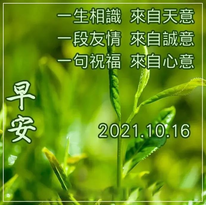 9張最新創意唯美的秋日早安早上好圖片帶祝福語 不用打字聊天的秋天