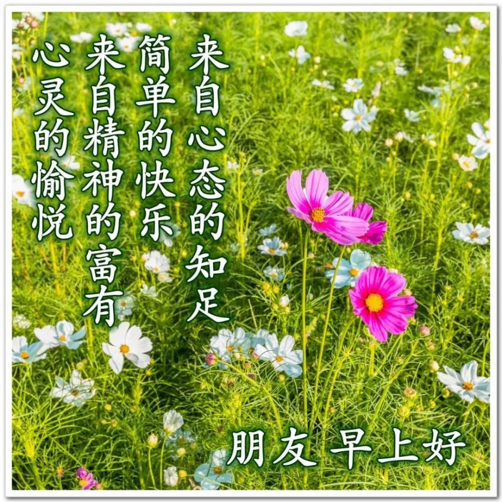 早安问候语漂亮的早上好祝福图片,2021早安问候语短信大全