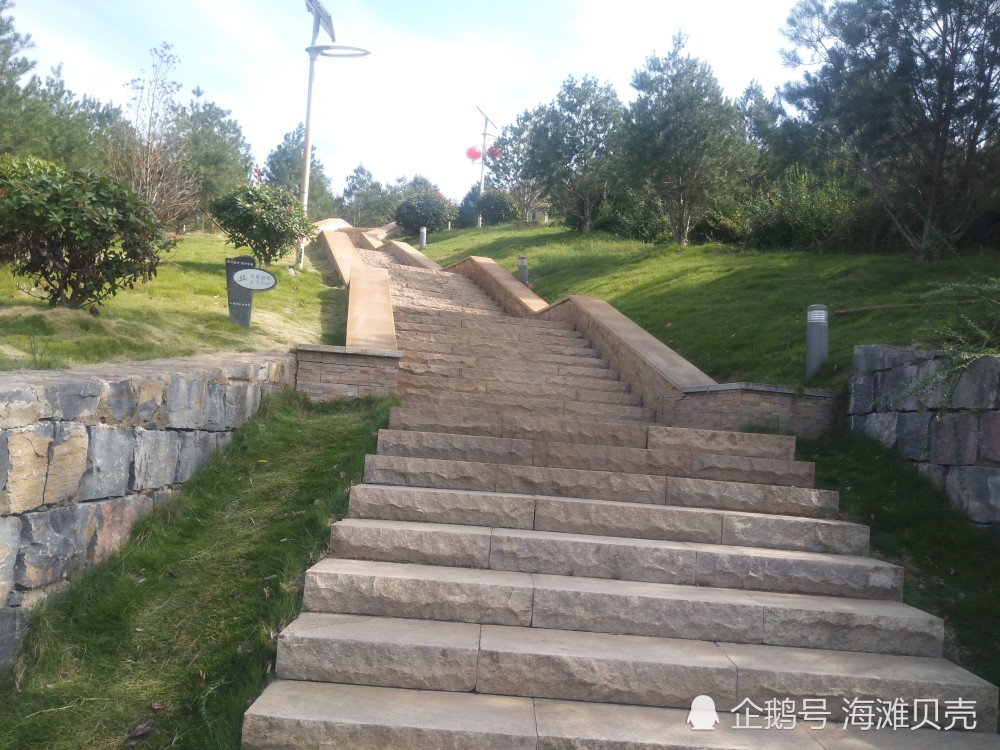 鄭州森林公園,一座有山有水的公園,超級美