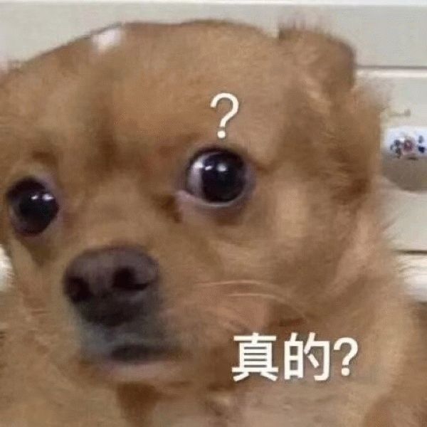 表情包沙雕动物表情