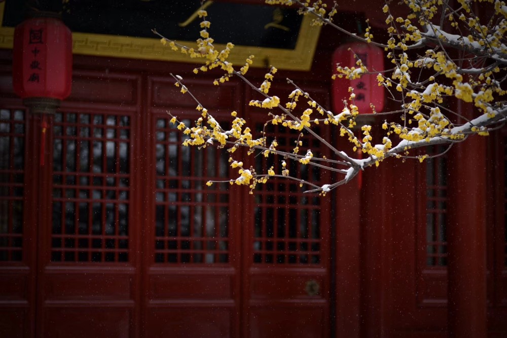 天地之中话中用一一中庸之德是万德之本 全网搜