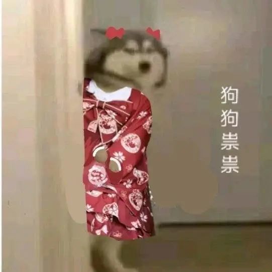 表情包一组狗狗祟祟表情包