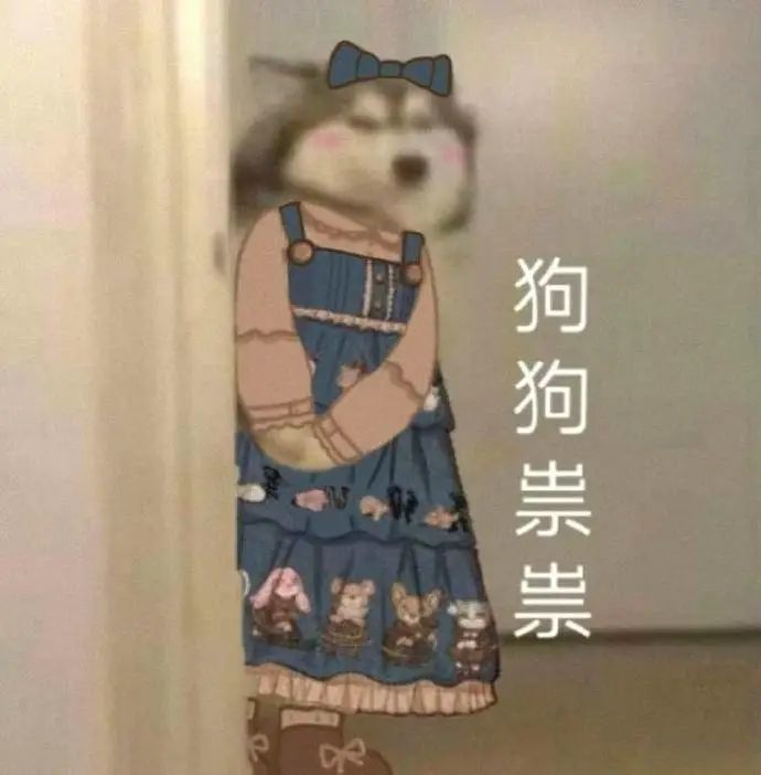 表情包一组狗狗祟祟表情包