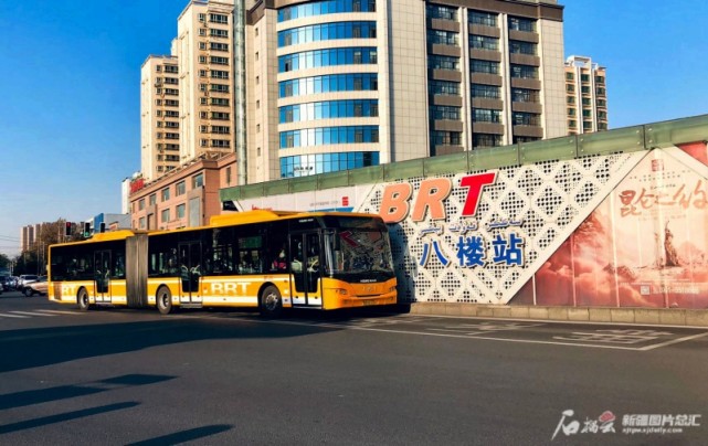 它们为车水马龙的"八楼"平添了几分清静.