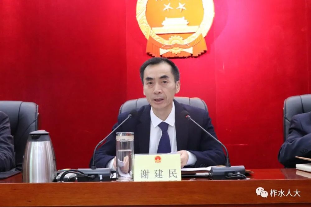 表决通过了 《关于王永祥为柞水县监察委员会代理主任的决定》《关于