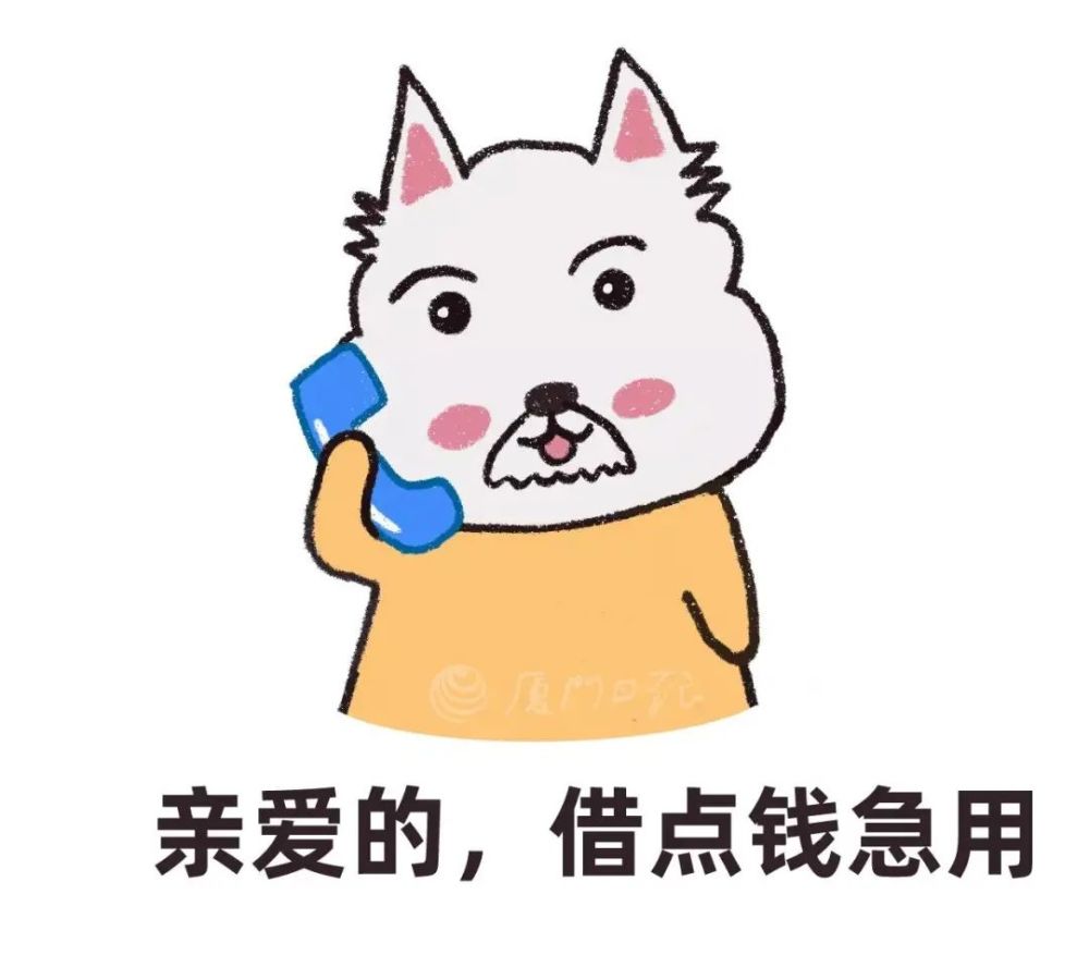 恋爱见面少,一联系就借钱,厦门一女子的"it男友"竟变成了