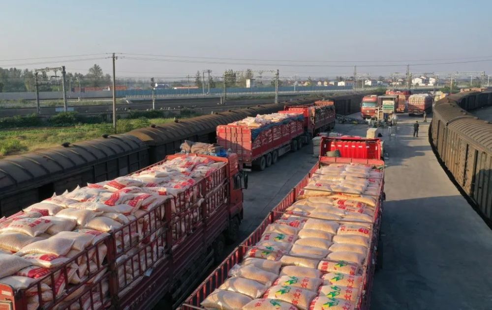 枣阳站紧抓"粮"机运输忙