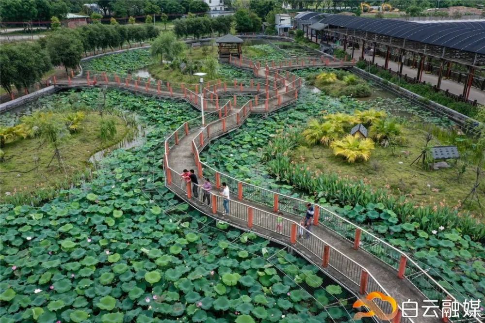 广州都市观光农业的样板丰华园打造了现代都市农业已崛起如今的流溪河