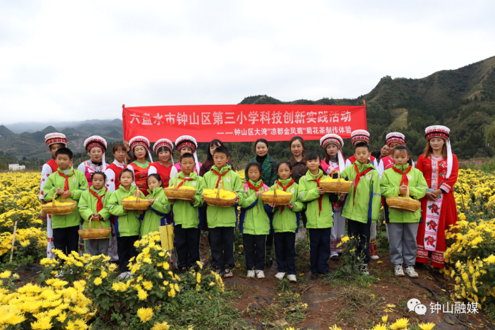 钟山区第三小学组织学生到大湾镇体验菊花茶制作_腾讯新闻