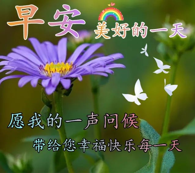 早晨群发给大家早上好表情图片,早安问候语温馨短句配图_腾讯新闻