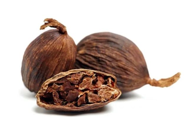 男子看科普对号入座,牵出一桩罂粟案