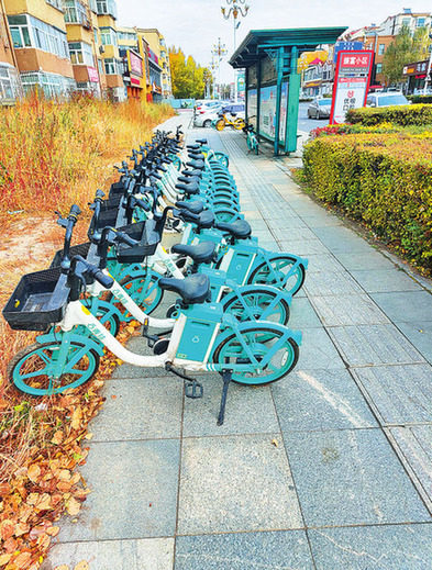 共享单车停放文明有序 让市民出行更便捷|大庆四中|共享单车|妇女儿童