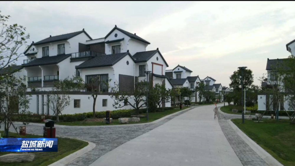 亭湖区黄尖镇建设中国丹顶鹤小镇走出乡村振兴加速度