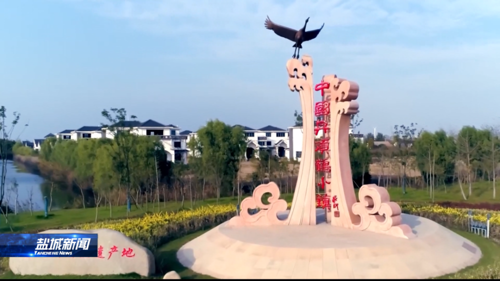亭湖区黄尖镇建设中国丹顶鹤小镇走出乡村振兴加速度