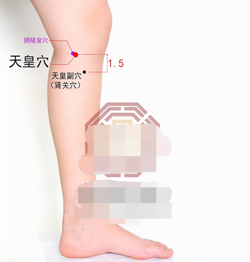 中医针灸上肢疾病处方4