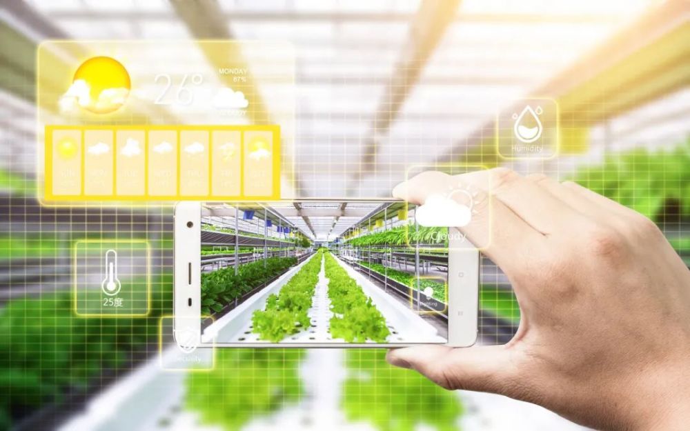 互联网农业是农业的新风向但仍有问题亟需解决