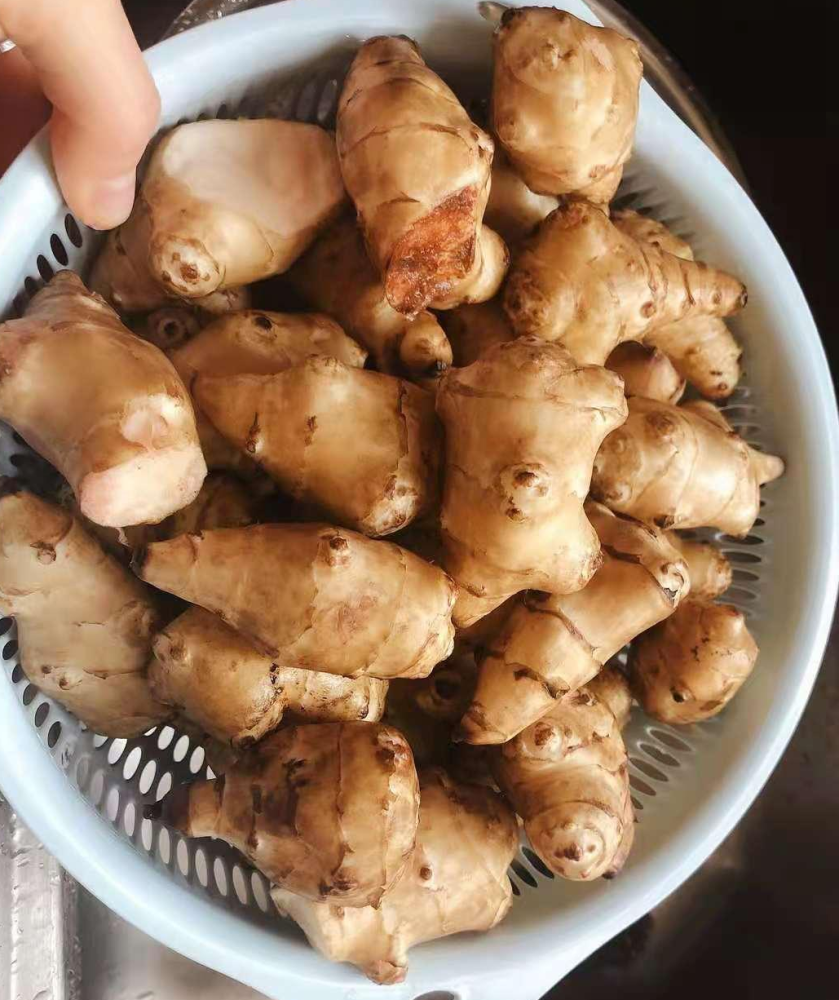 天冷别只知道吃萝卜白菜,一次做一盆"鬼子姜,清脆爽口真开胃