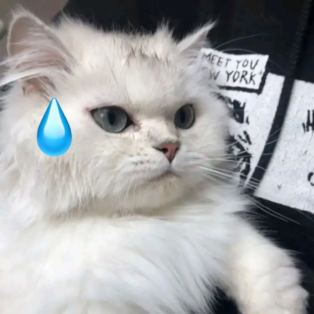 滴汗猫猫头