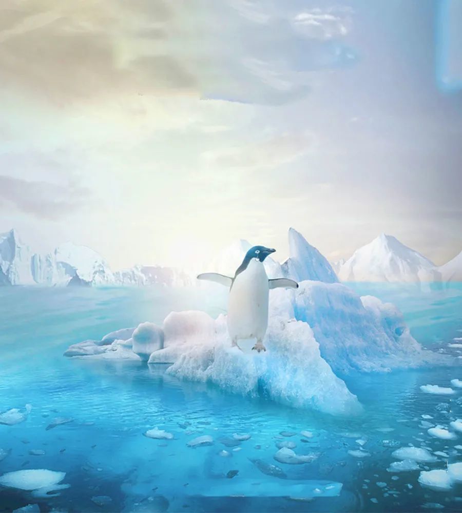 国家安全教育系列——极地安全