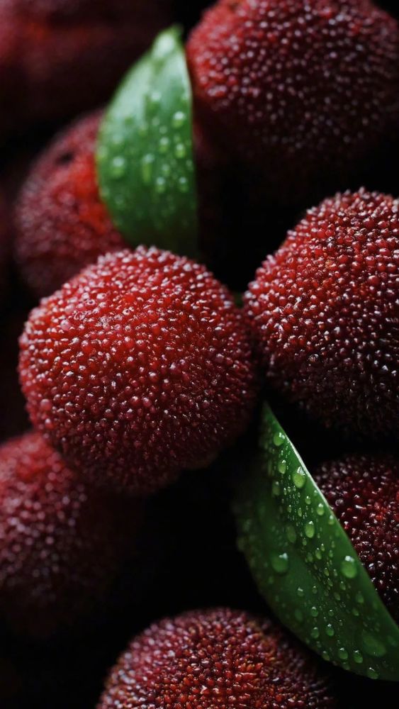 壁纸|杨梅水果高清清新壁纸