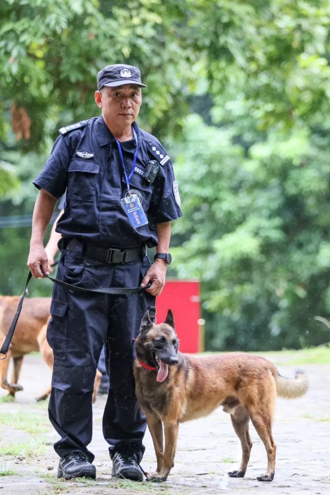 警犬警犬获奖啦