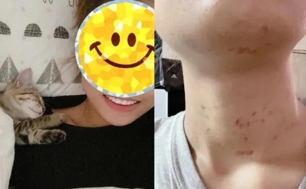 脖子挂草莓项链同事误会网友羡慕满满的爱呀