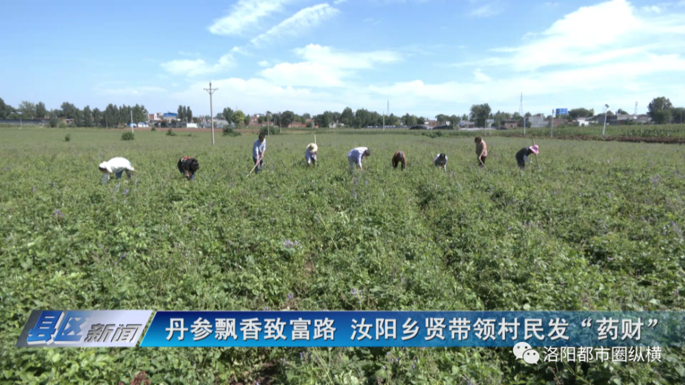 推动党风廉政建设向基层延伸,孟津区常袋镇赵凹村着力打造"廉政文化一