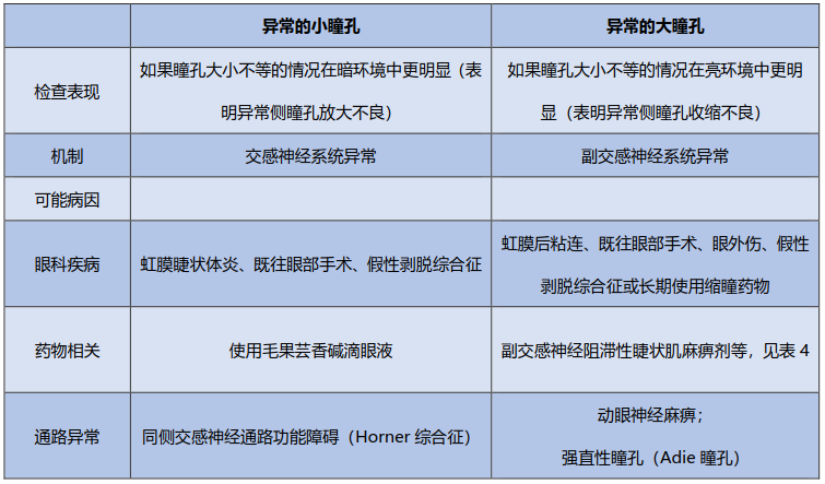 瞳孔大小评估评分图图片