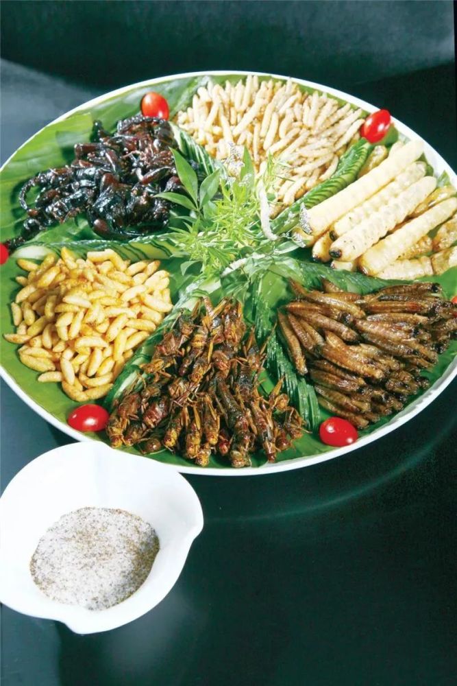 一天一点普洱2272普洱人的美丽吃情秋吃百虫
