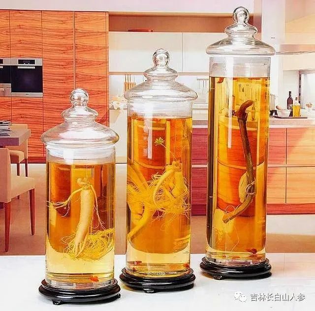 新鲜的野山参怎么泡酒长白山新鲜的野山参怎么泡酒鲜野山参怎样泡酒
