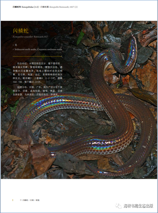 《中国蛇类图鉴》新书发布式举行_腾讯新闻