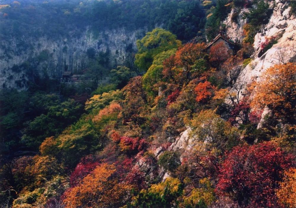 【打卡博山】金秋賞紅葉,這波美景不容錯過!_騰訊新聞