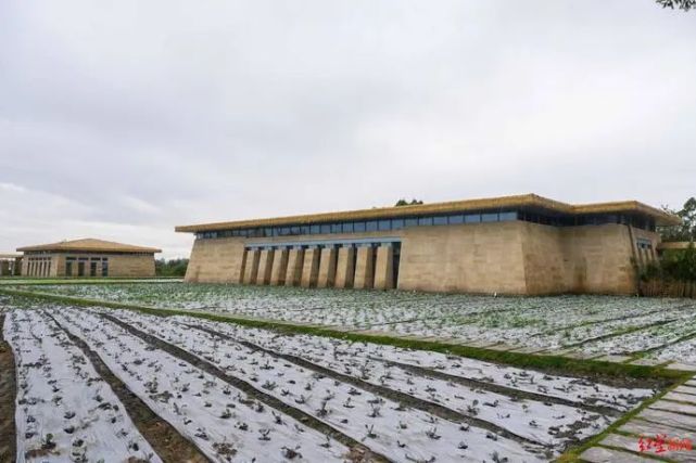 宝墩遗址 精准定位:成都市新津区宝墩镇王林盘 距今时间:约4500年