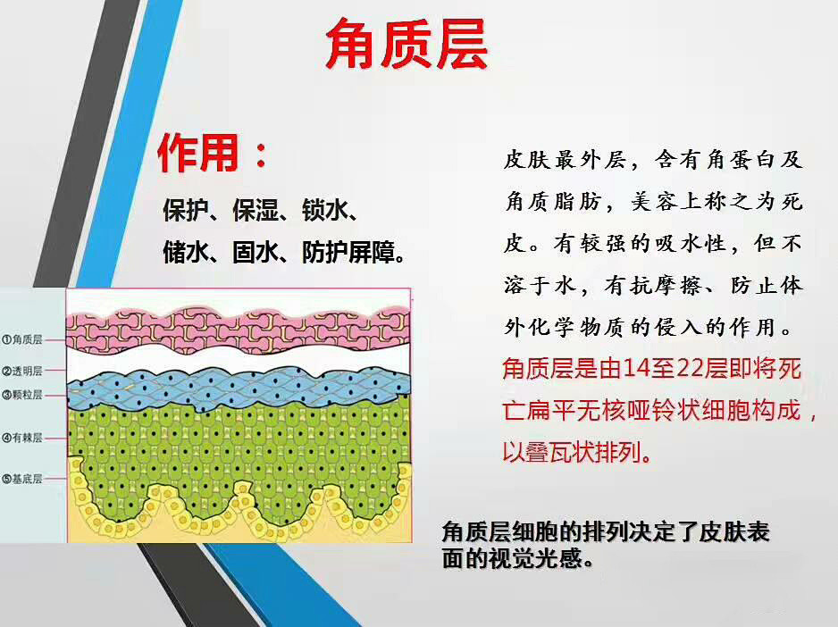 而角质层太薄也不行,一旦皮肤屏障结构失去完整性,就会导致屏障功能