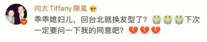 向太，向佐和郭碧婷的形象发言人