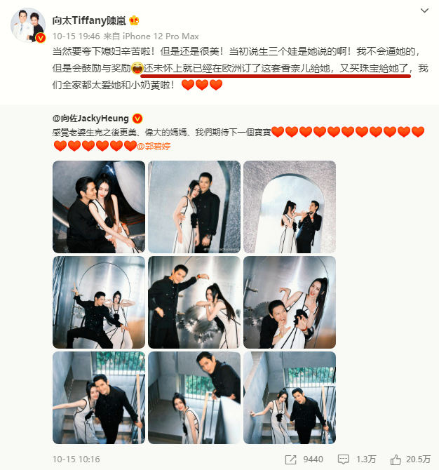 向太，向佐和郭碧婷的形象发言人